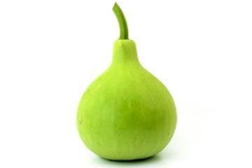 Bottel Gourd/Lauki Round